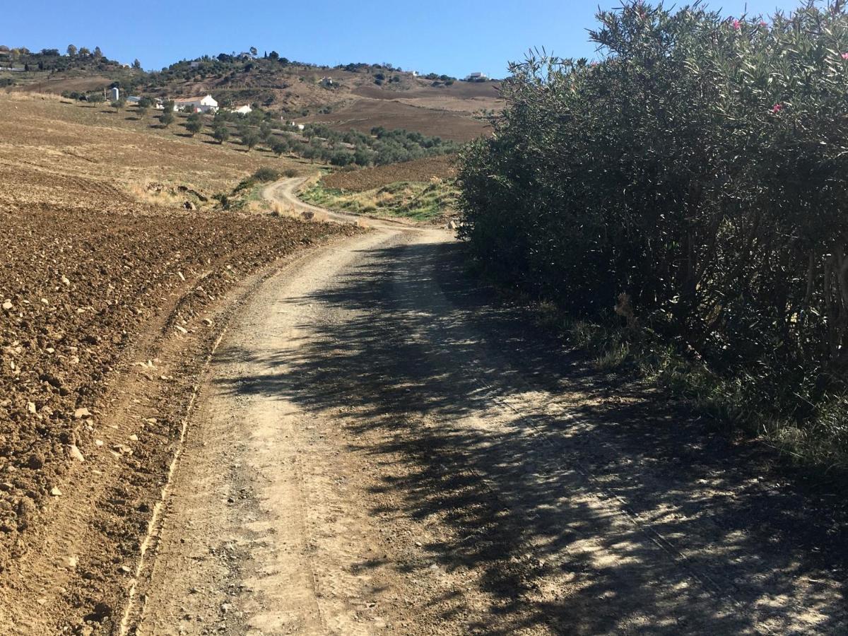 Finca Las Campanas II Villanueva de la Concepción 외부 사진