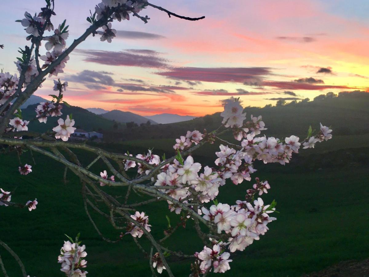 Finca Las Campanas II Villanueva de la Concepción 외부 사진