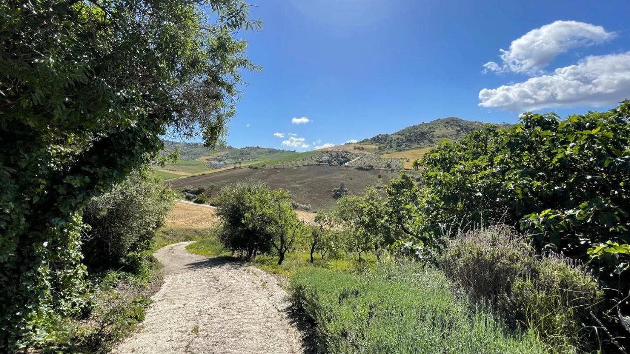 Finca Las Campanas II Villanueva de la Concepción 외부 사진